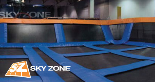 Sky Zone Franchise